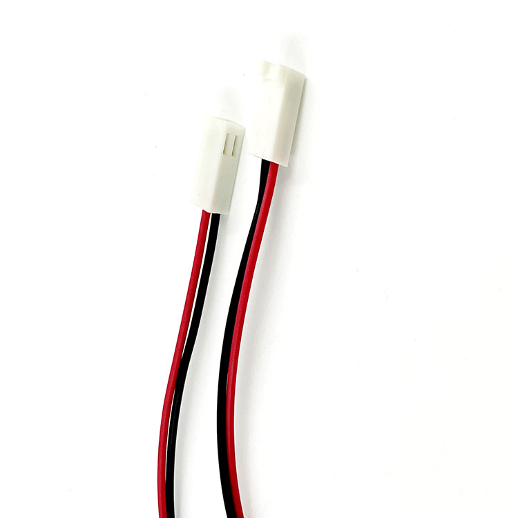 2 ways 2.54mm housing wire harness 102mm